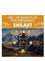 Himalayan Shilajit Capsules